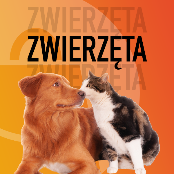 zwierzeta_1